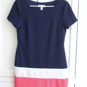 Dress Barn Color Block Dress